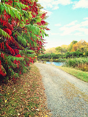 Image showing Country road and colorful autumn trees 