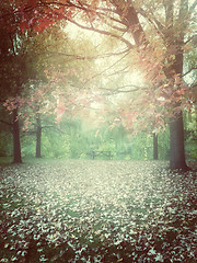 Image showing Hazy autumn day in a park