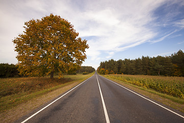 Image showing the autumn road  