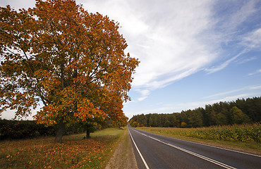 Image showing road in the fall  