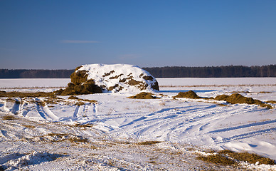 Image showing Rick of straw Winter