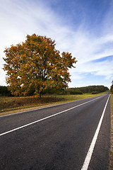Image showing road. autumn  