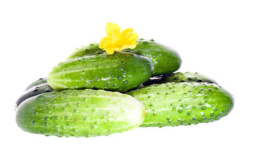 Image showing Green cucumbers 