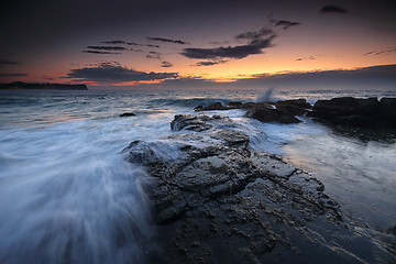 Image showing Low tide dawn at Warriewood