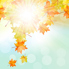 Image showing Autumn  Frame