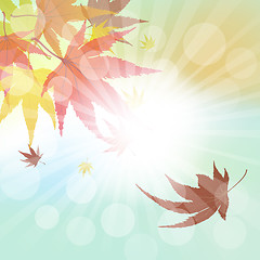 Image showing Autumn  Frame