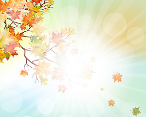 Image showing Autumn  Frame