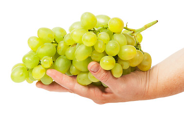 Image showing Bright grapes lying in hand