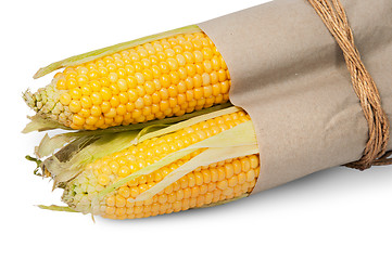 Image showing Several corn cob in paper bag tied with rope