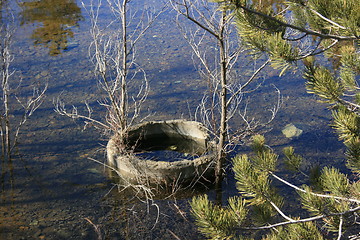 Image showing The lake