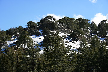 Image showing Mountain snow