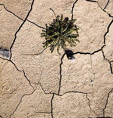 Image showing brown dry sand in sahara desert morocco africa erosion and abstr