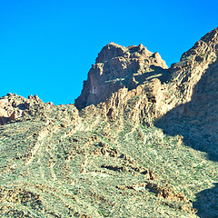 Image showing brown bush  in    valley  morocco        africa the atlas dry mo