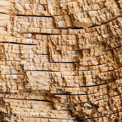 Image showing Dark weathered cracked stump wooden texture