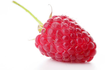 Image showing raspberry