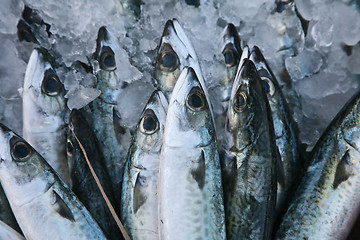 Image showing Fish market