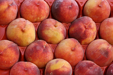 Image showing Fruits on market