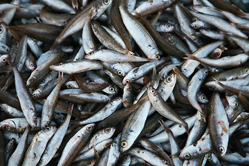 Image showing Fish market