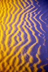 Image showing   brown sand dune  sahara morocco desert 