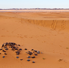 Image showing sunshine in the desert of morocco sand and dune