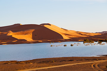 Image showing sunshine in th  yellow  desert  and     dune