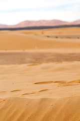 Image showing sunshine in the desert of  