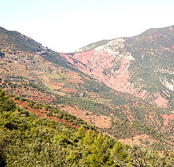 Image showing the    dades valley in atlas moroco africa ground tree  and nobo