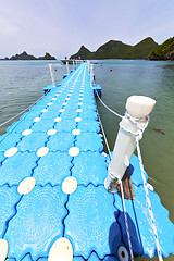 Image showing plastic pier  coastline of a  green lagoon and tree  rope