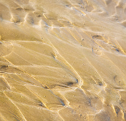 Image showing dune morocco in africa brown coastline wet sand beach near atlan