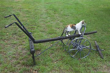 Image showing Sowing Plough