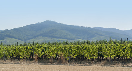 Image showing Vosges scenery