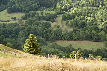 Image showing Vosges scenery