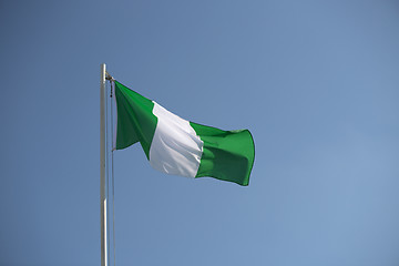 Image showing Nigerian flag in the wind