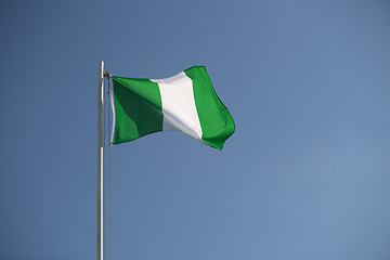 Image showing Nigerian flag in the wind