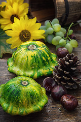 Image showing harvest squash