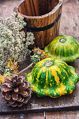 Image showing harvest squash