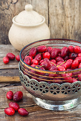 Image showing Cornel berries with herbaceous medicinal shrub