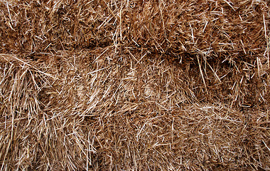 Image showing Straw background