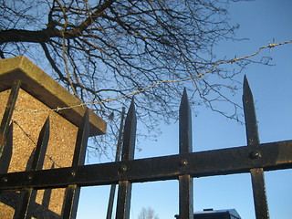 Image showing Fence with barbed wire