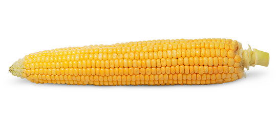 Image showing Purified ear of corn