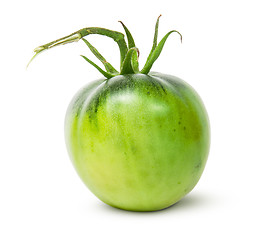 Image showing Single green tomato