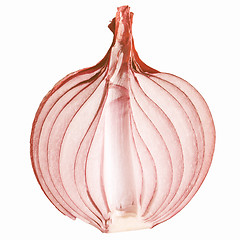 Image showing Retro looking Onion