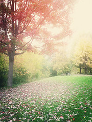 Image showing Hazy autumn landscape