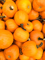 Image showing Bright orange pumpkins