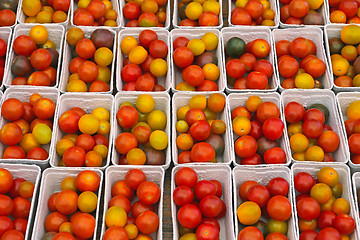 Image showing Cherry Tomato