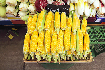 Image showing Corn