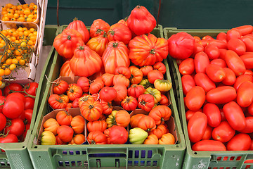 Image showing Organic Tomato