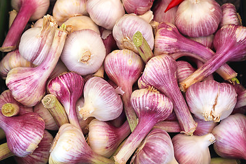 Image showing Onion