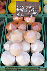 Image showing Coconut Water