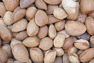 Image showing Almonds in Shell